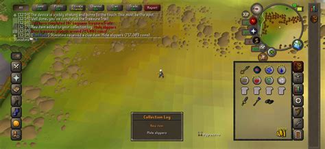 Wake up, echo boots are BIS boots : r/2007scape .
